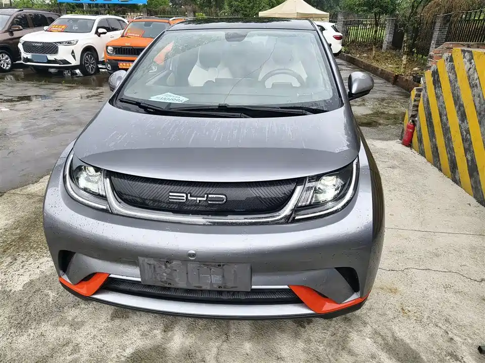 BYD dolphin