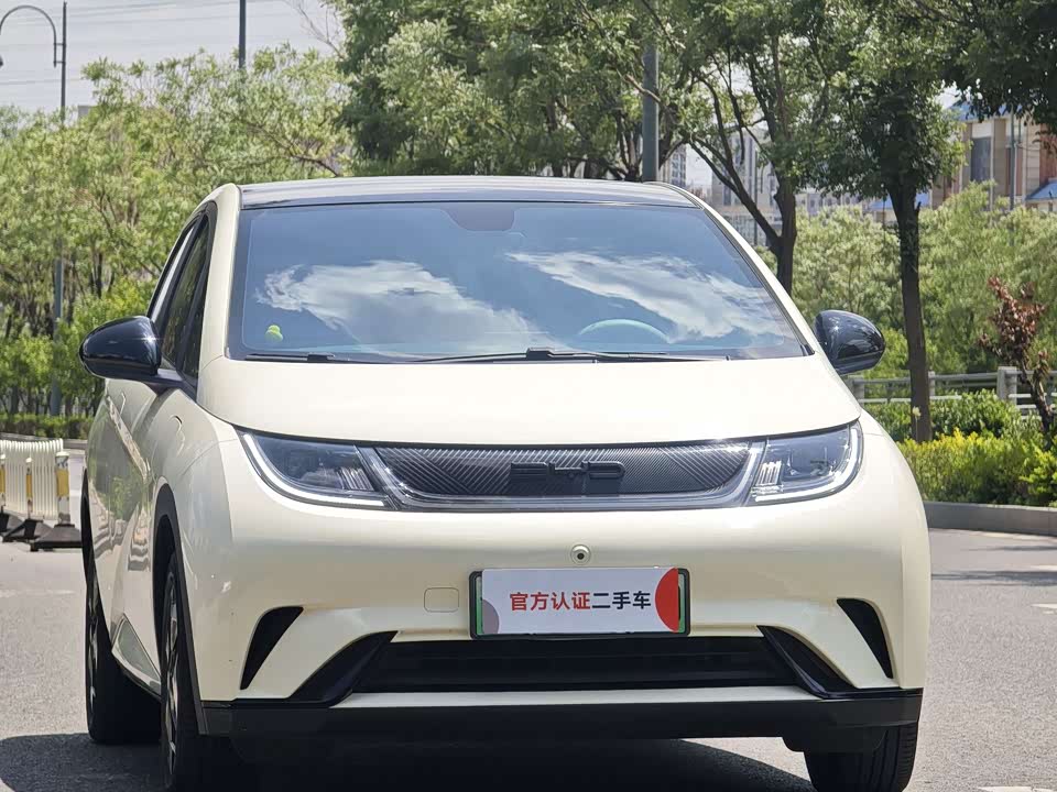 BYD dolphin BYD dolphin
