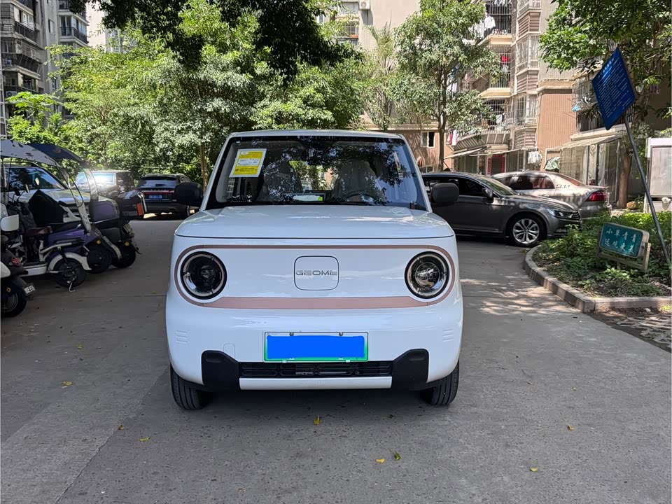 Geely Galaxy panda Geely Galaxy panda