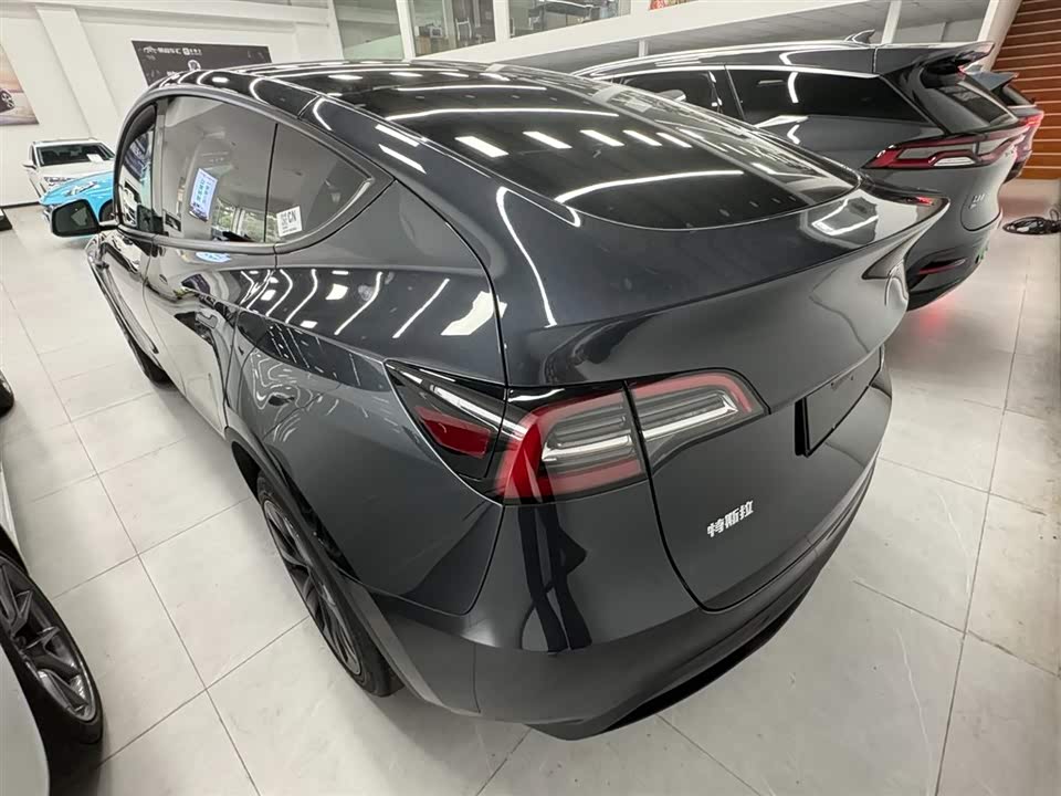 Tesla Model Y Tesla Model Y