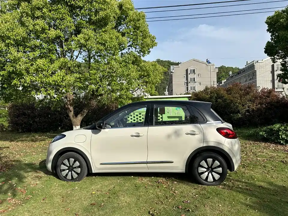 Wuling Wuling Bingguo