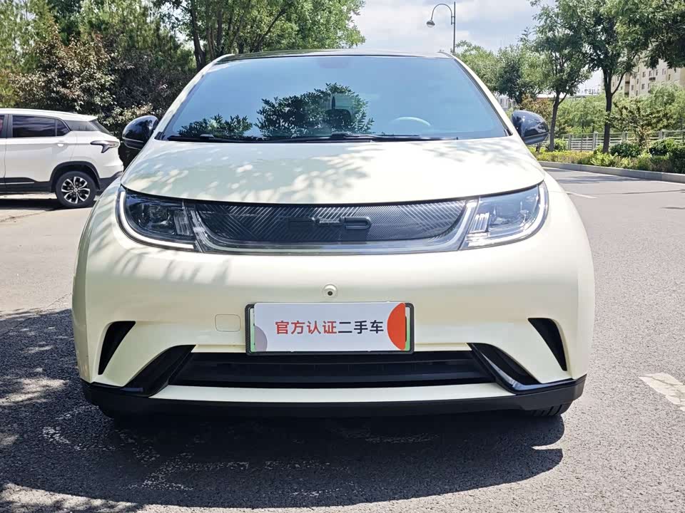 BYD dolphin BYD dolphin