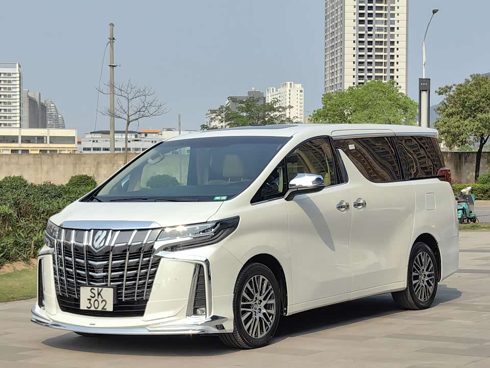Toyota Elfa
