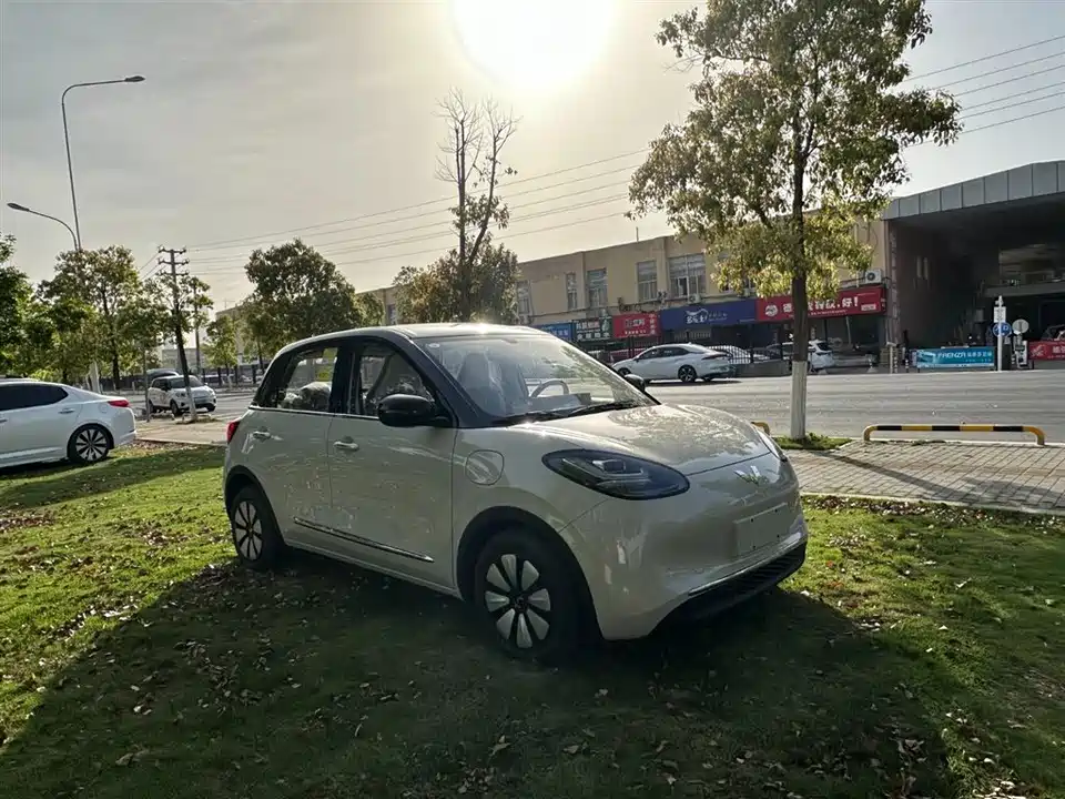 Wuling Wuling Bingguo