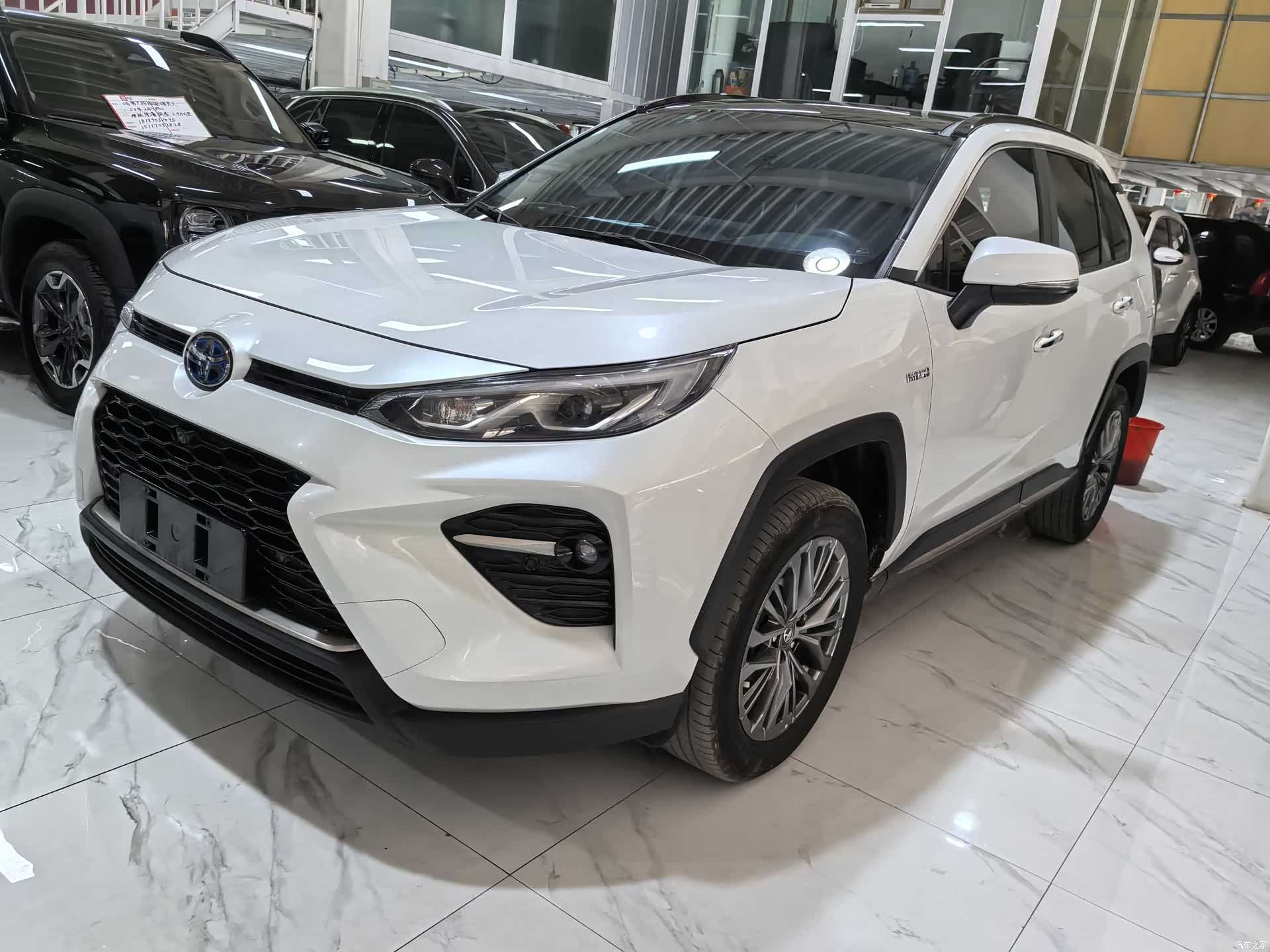 Toyota Wildlander, 2023 1