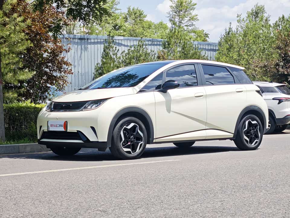 BYD dolphin BYD dolphin