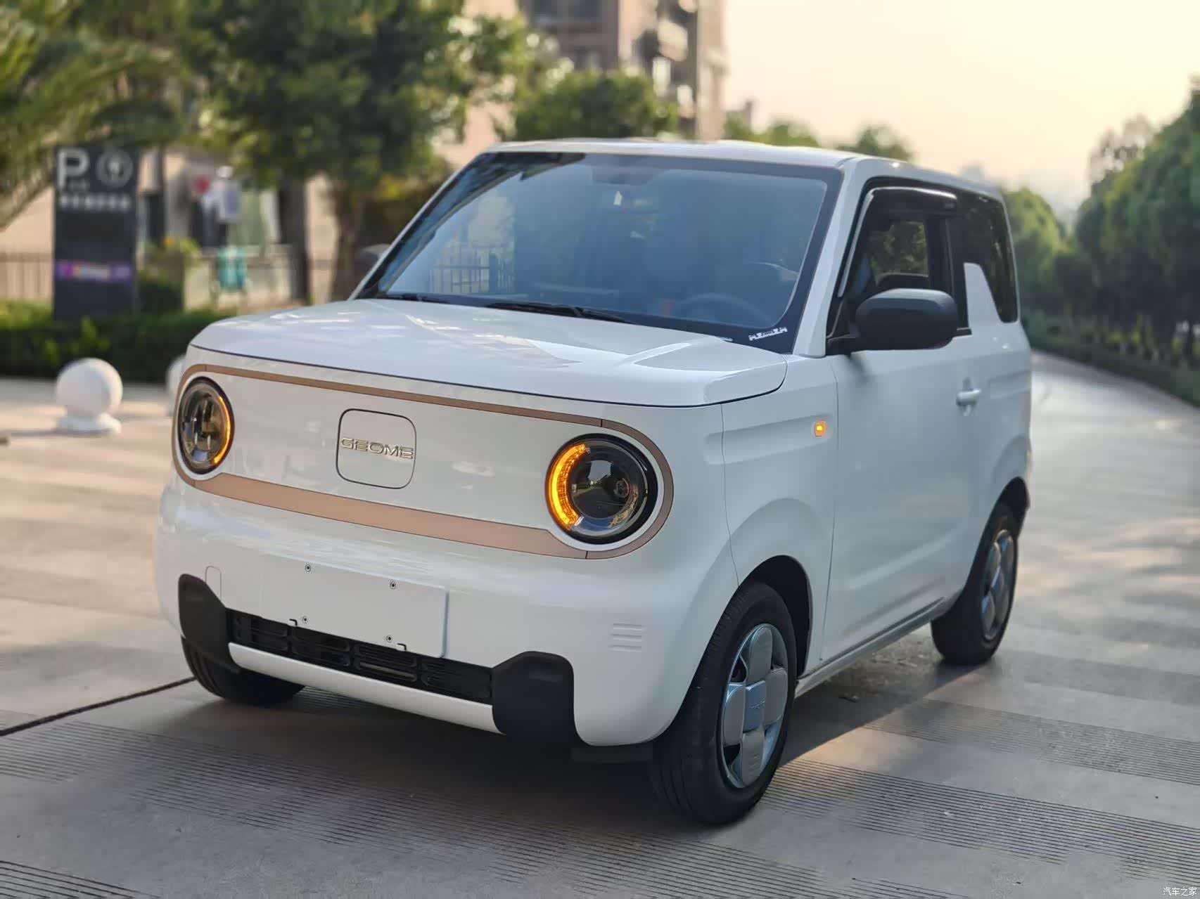 Geely Panda, 2024 1