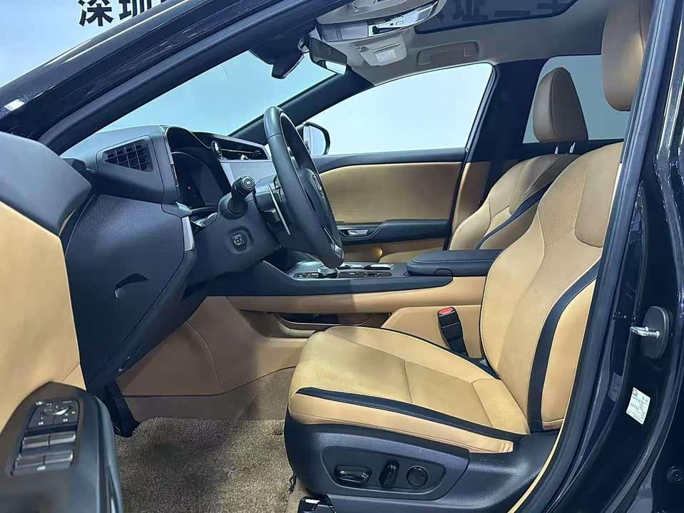 Lexus RZ