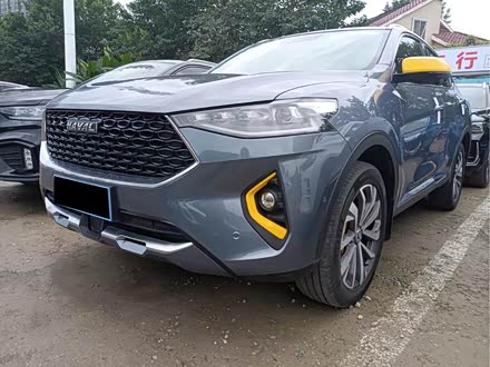 哈弗f7x 2019款 2.0t 四驱性能版