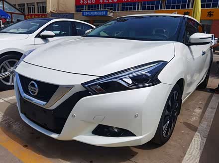 蓝鸟 2019款 1.6l cvt智联智酷版 国vi