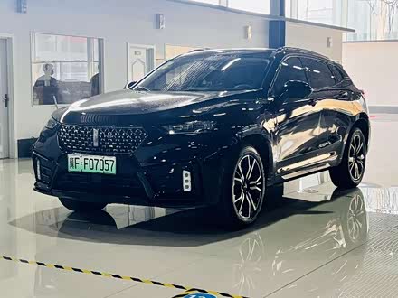 魏牌 vv7新能源 2020款 phev 2.0t 豪华型