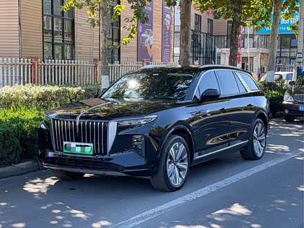 红旗e-hs9 2021款 460km 旗悦版 七座