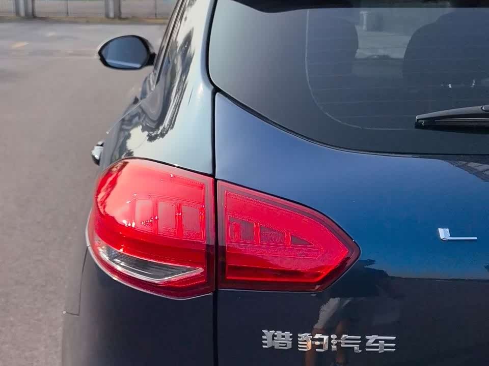 Leopaard Cheetah CS10