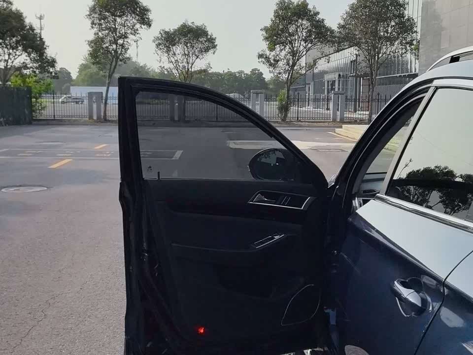 Leopaard Cheetah CS10