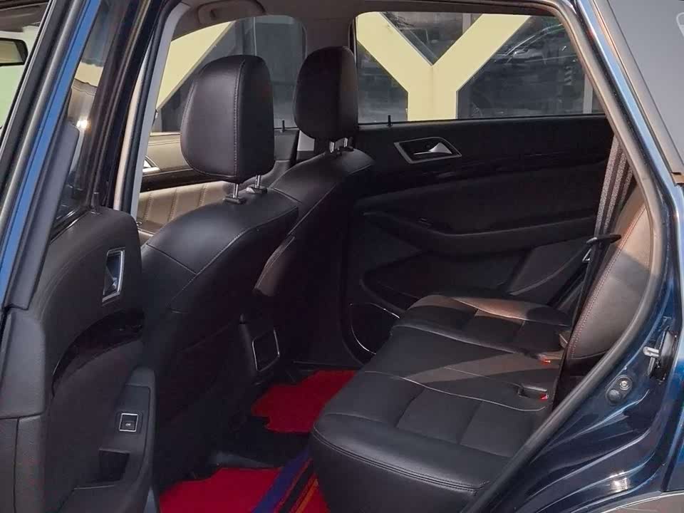 Leopaard Cheetah CS10