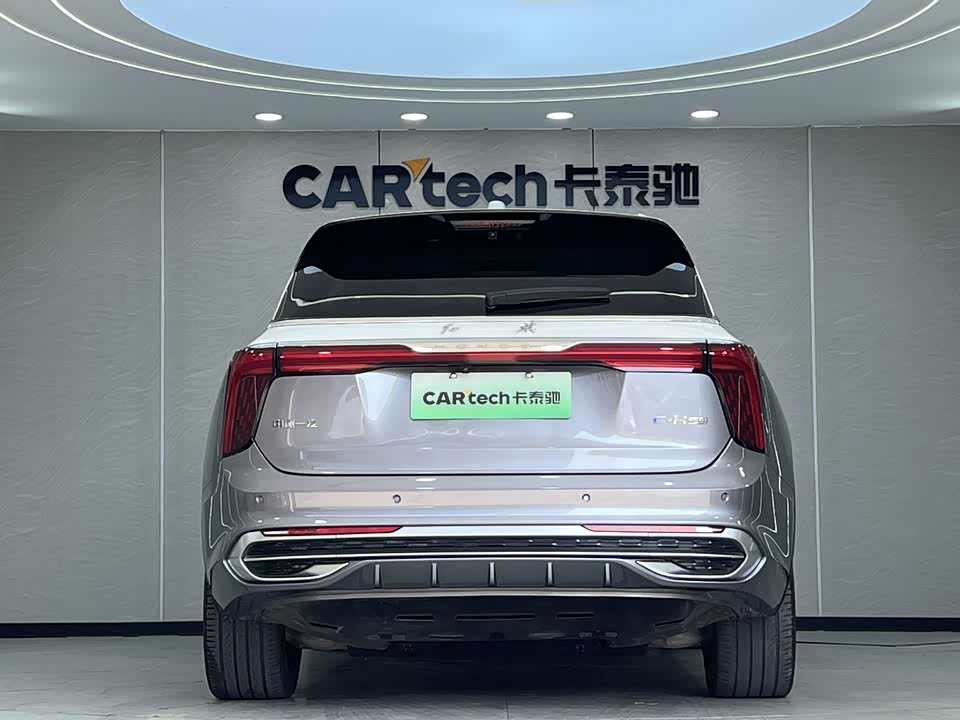 Hongqi E-HS9