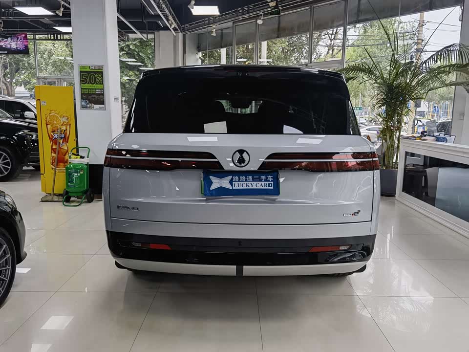 Denza N9