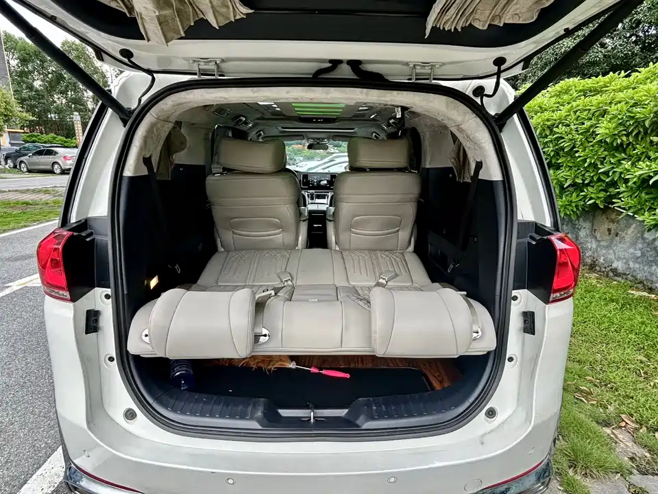 Trumpchi Trumpchi M8