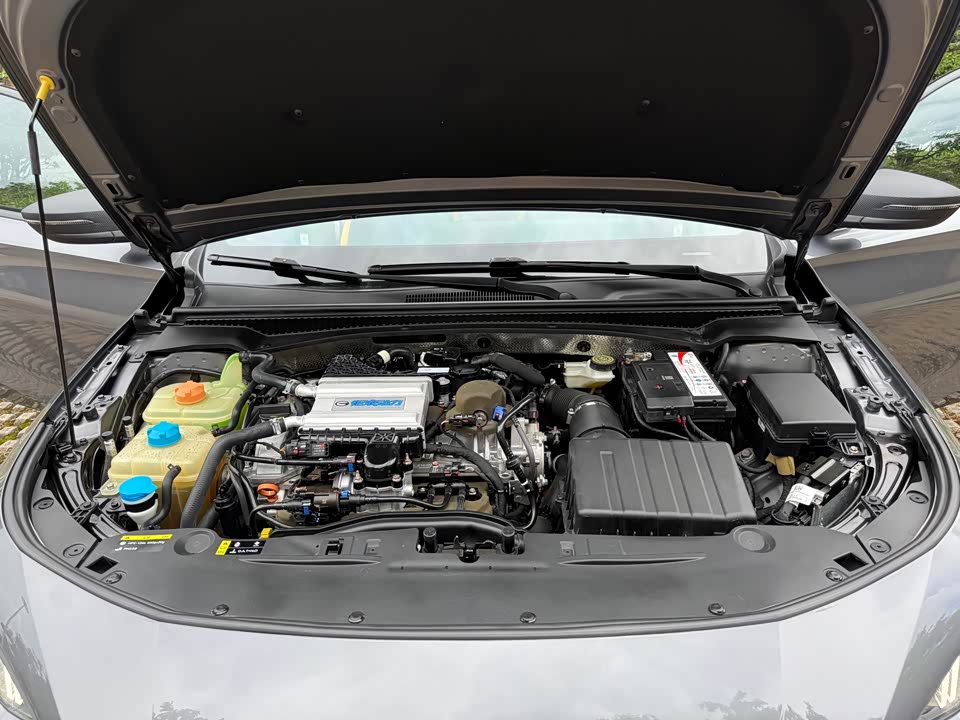 Trumpchi Shadow Leopard