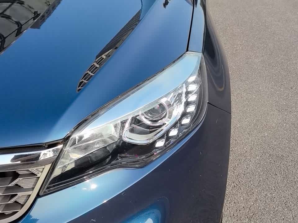 Leopaard Cheetah CS10