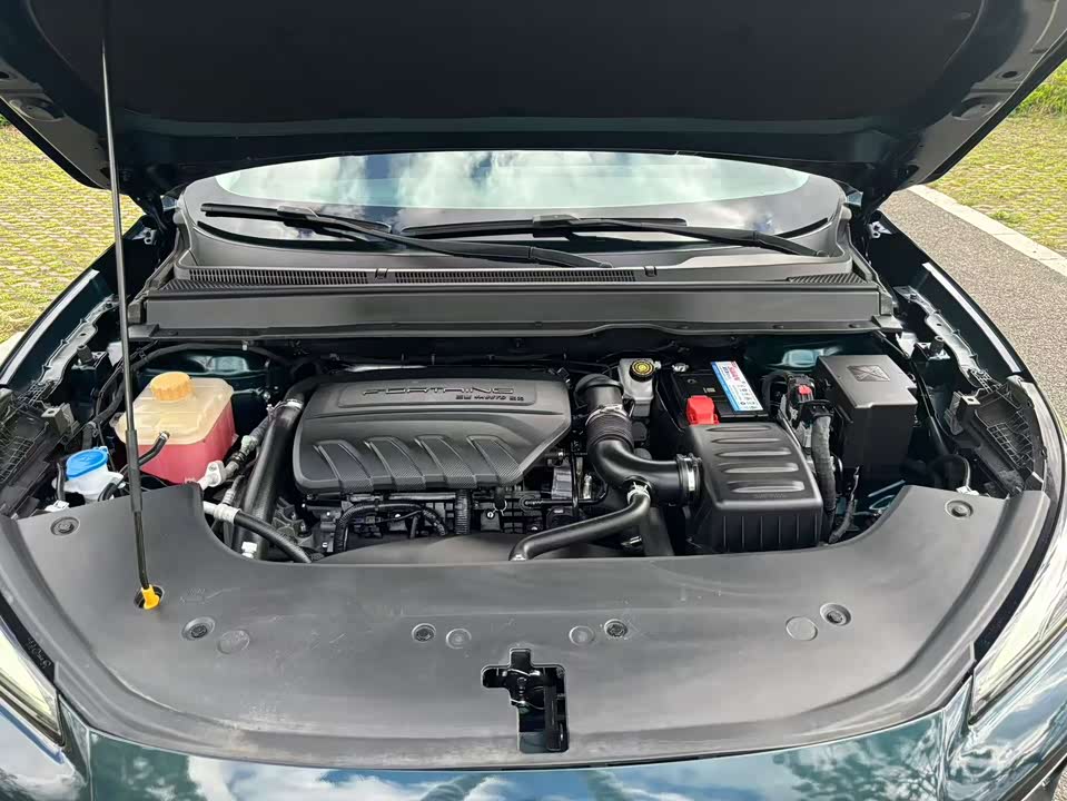 Forthing Popular T5 EVO Forthing Popular T5 EVO