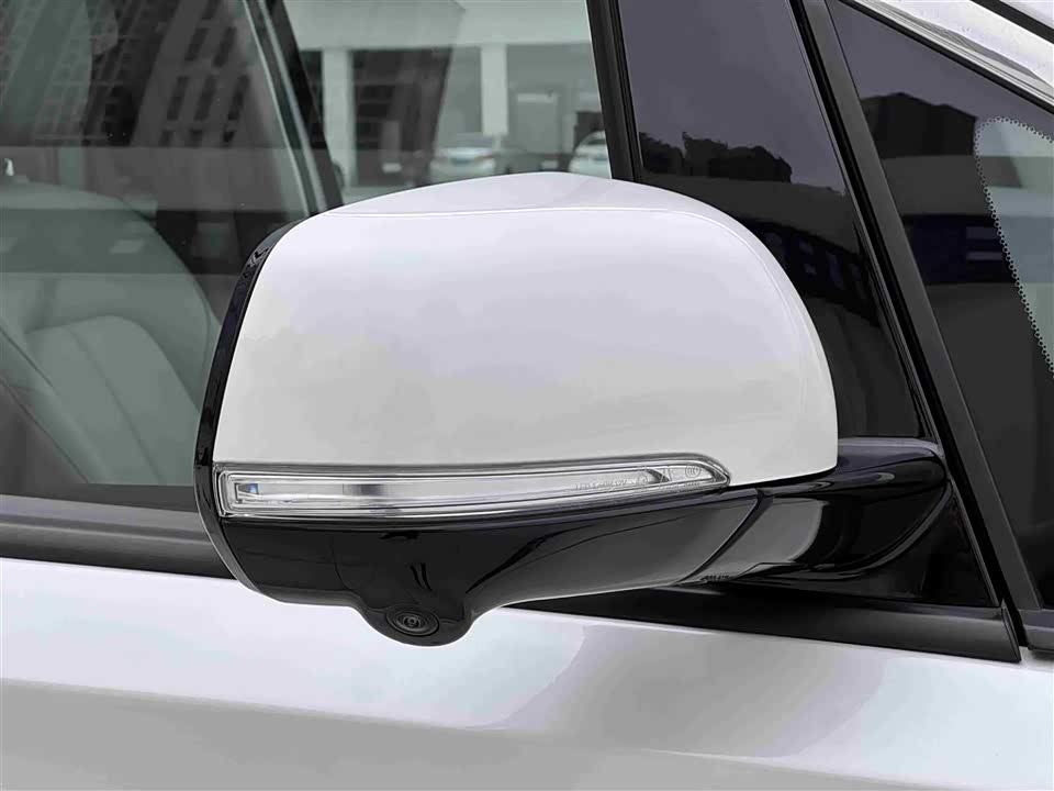 Trumpchi Trumpchi M8 Trumpchi Trumpchi M8