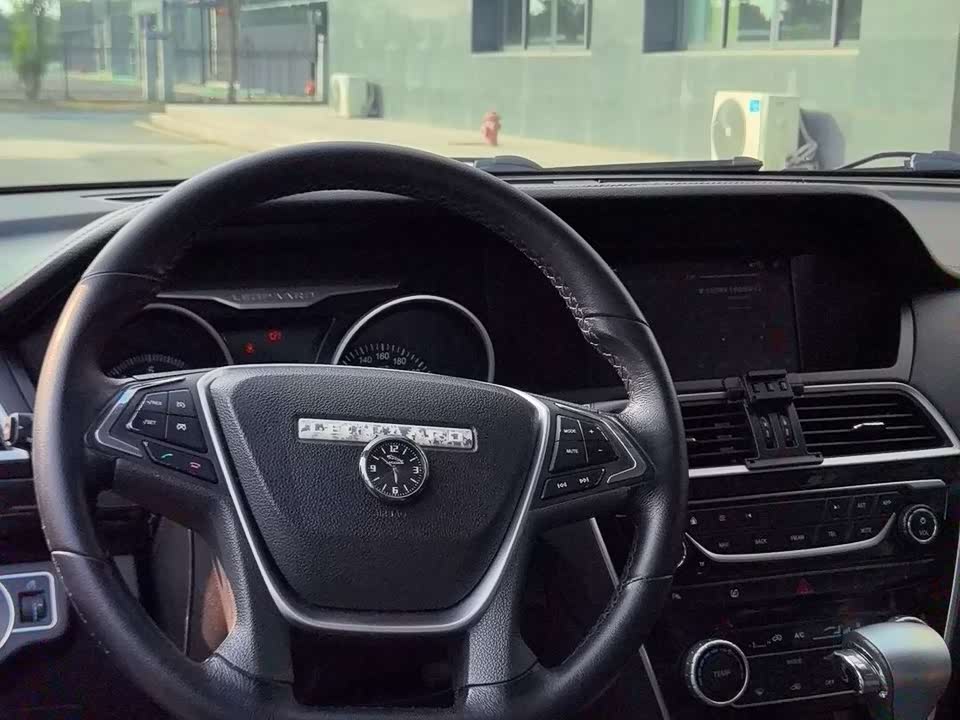 Leopaard Cheetah CS10