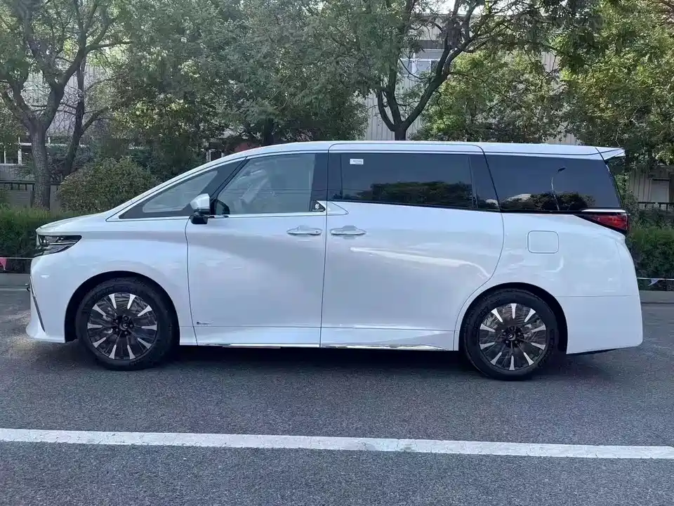 Toyota Elfa