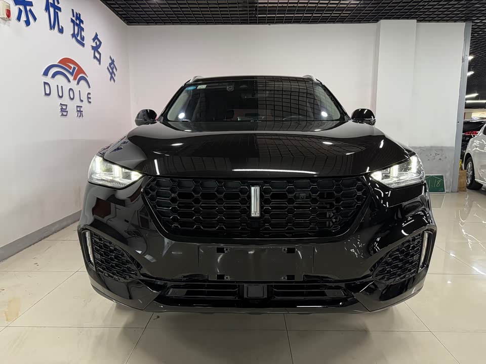 Weipai VV6