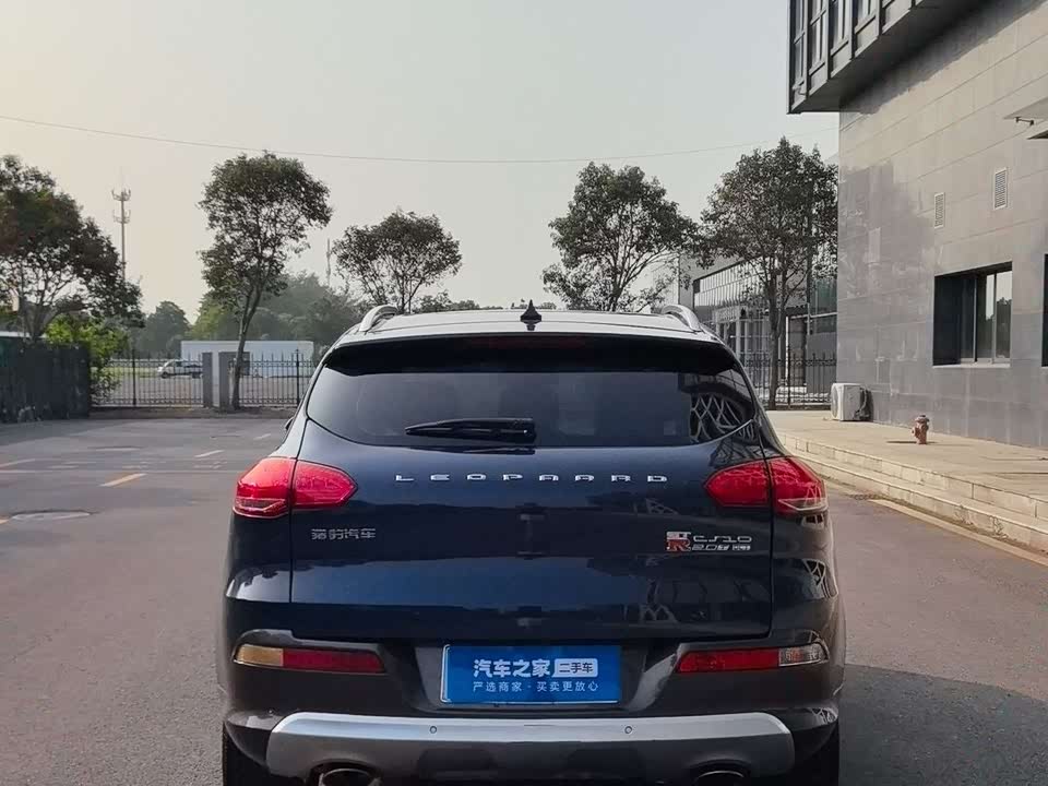 Leopaard Cheetah CS10