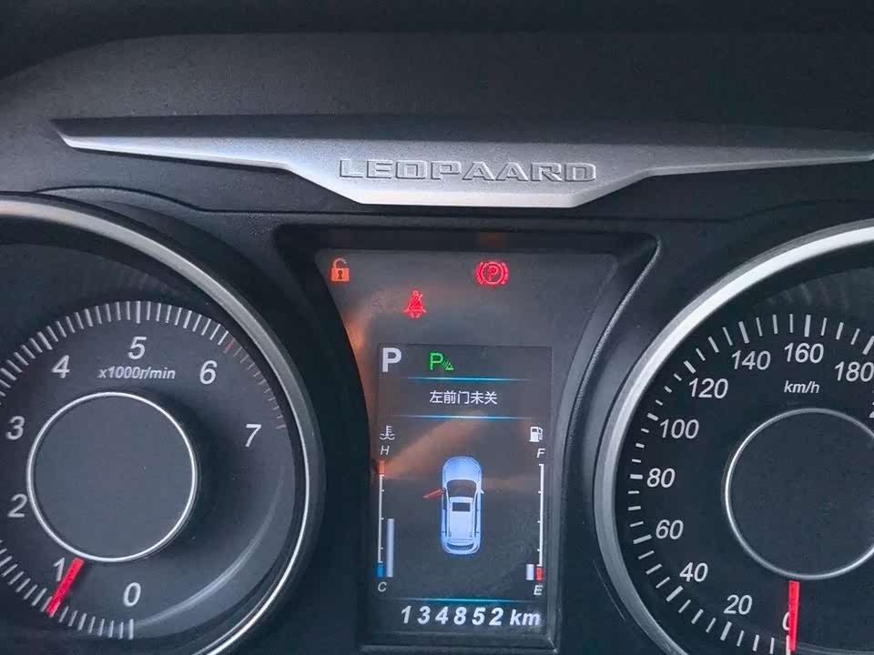 Leopaard Cheetah CS10