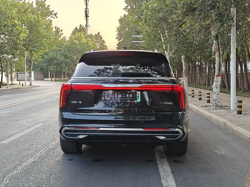 Hongqi E-HS9