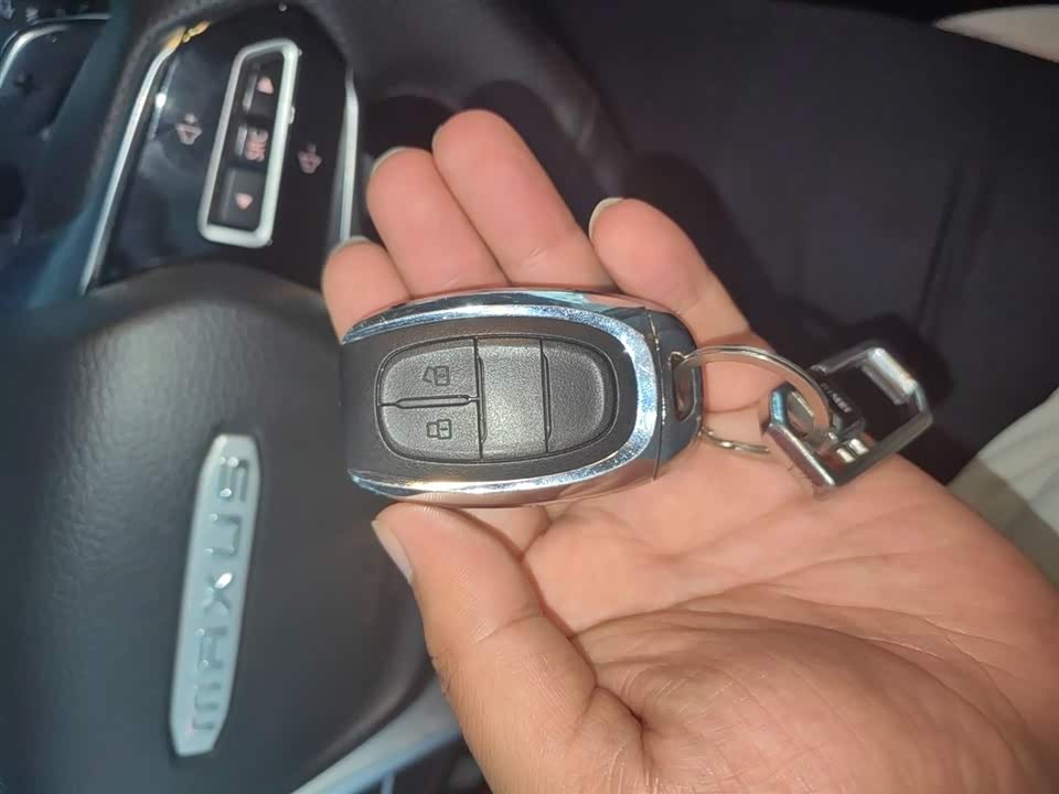 MAXUS Chase G20 MAXUS Chase G20
