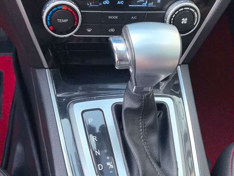 Leopaard Cheetah CS10