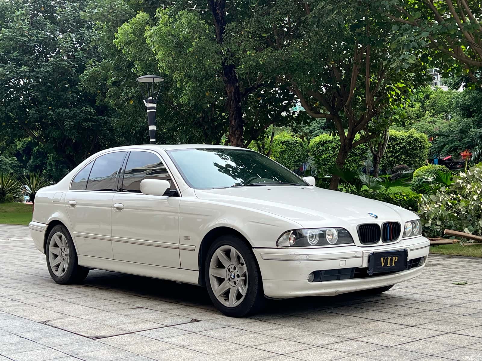 BMW 5 Series, 2003 3
