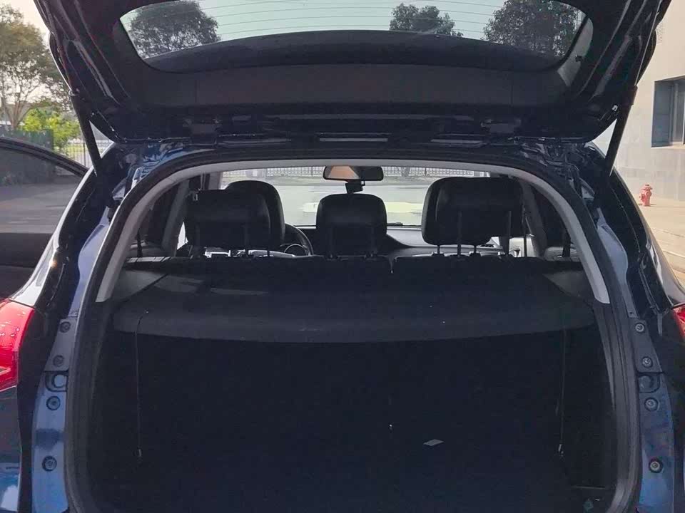 Leopaard Cheetah CS10