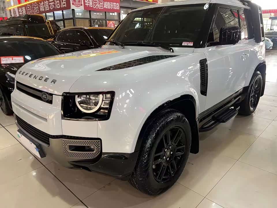 Land Rover guard