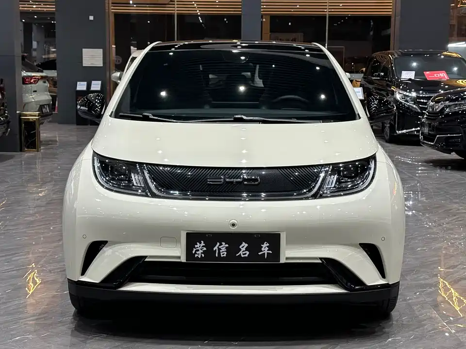 BYD dolphin