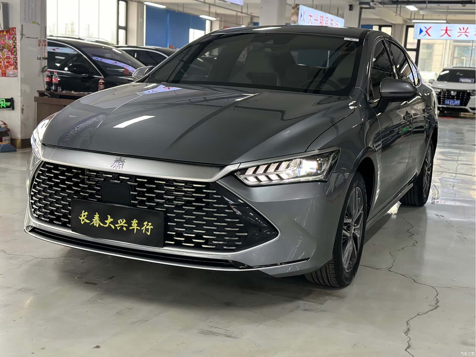 BYD Qin, 2024 1