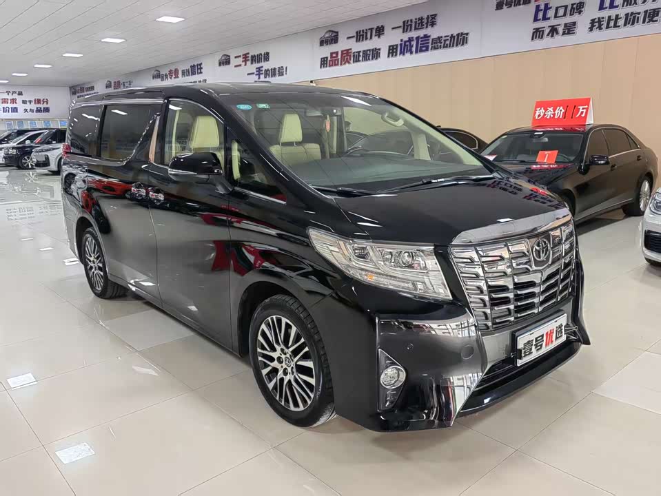 Toyota Elfa
