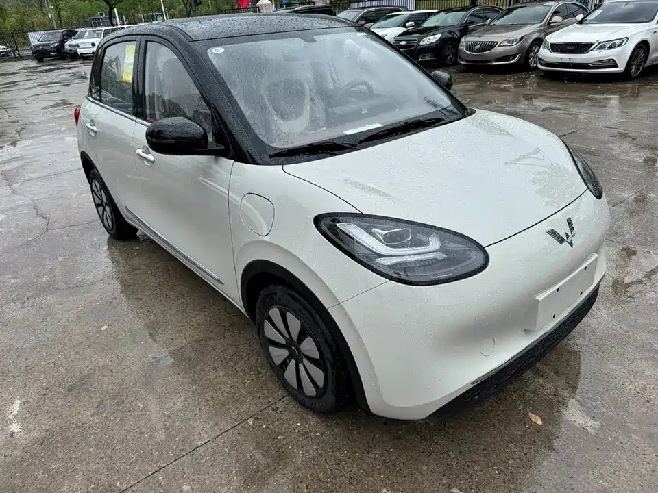 Wuling Wuling Bingguo