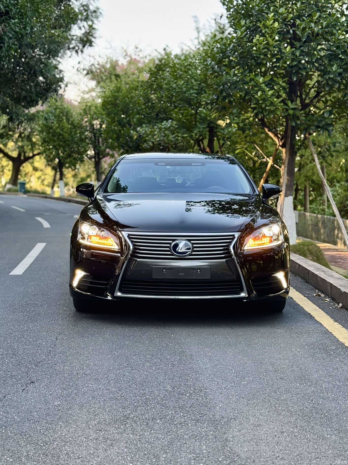 Lexus LS, 2013 2