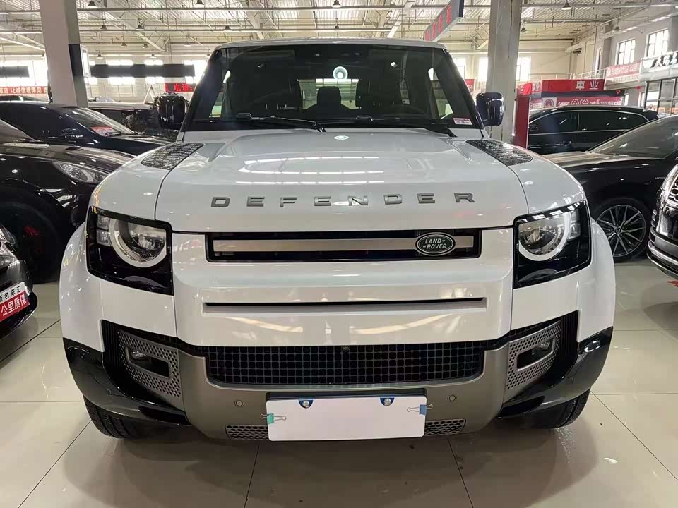 Land Rover guard