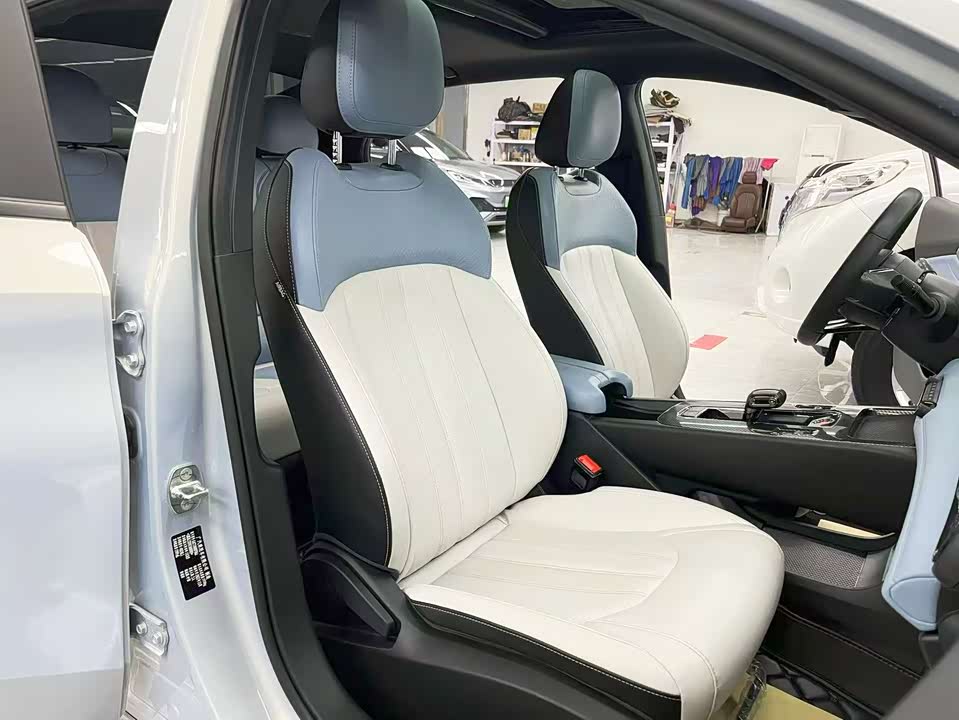 Trumpchi Shadow Leopard Trumpchi Shadow Leopard