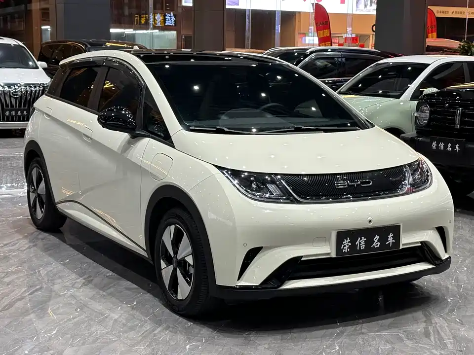BYD dolphin