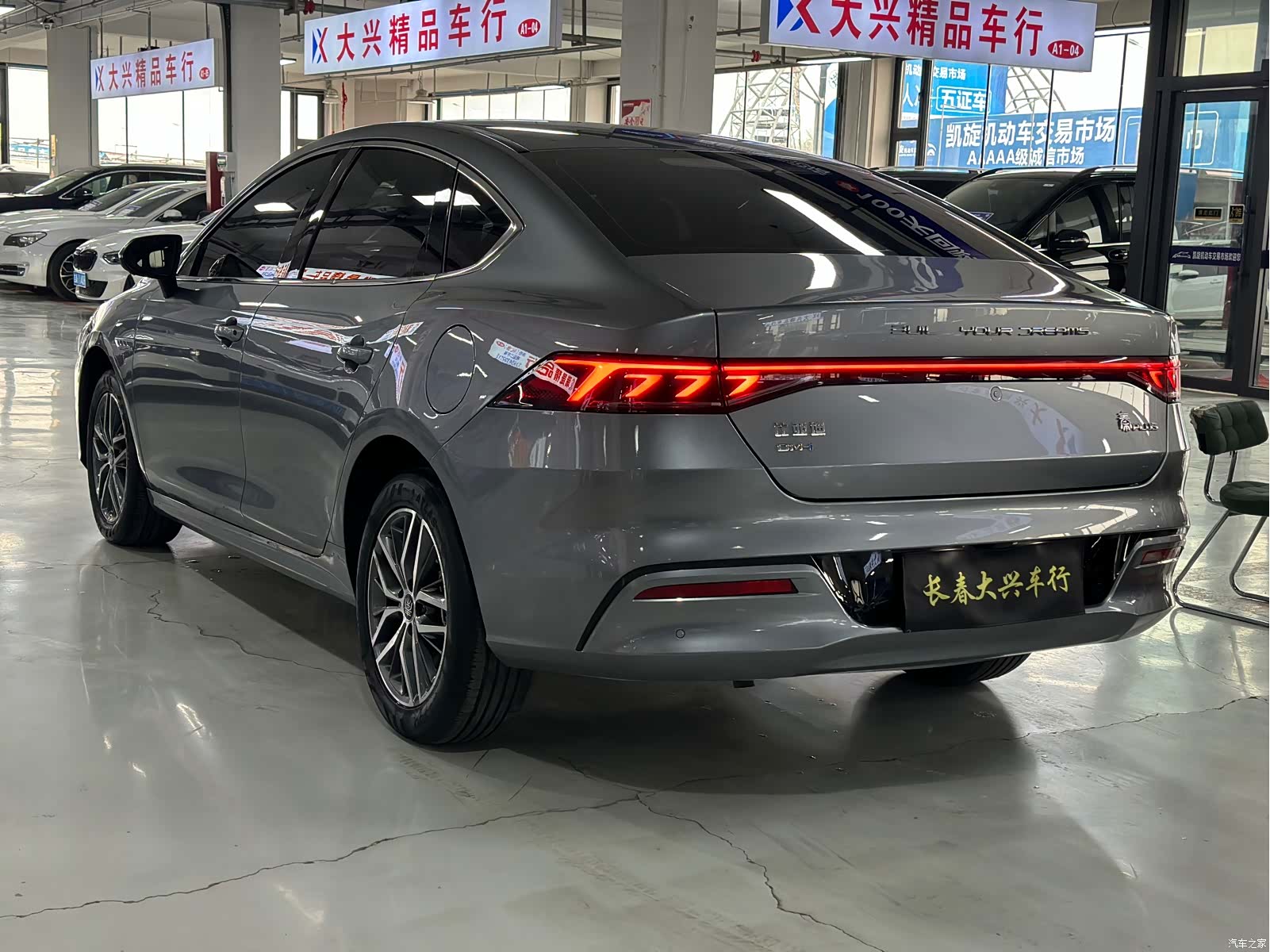 BYD Qin, 2024 все фото