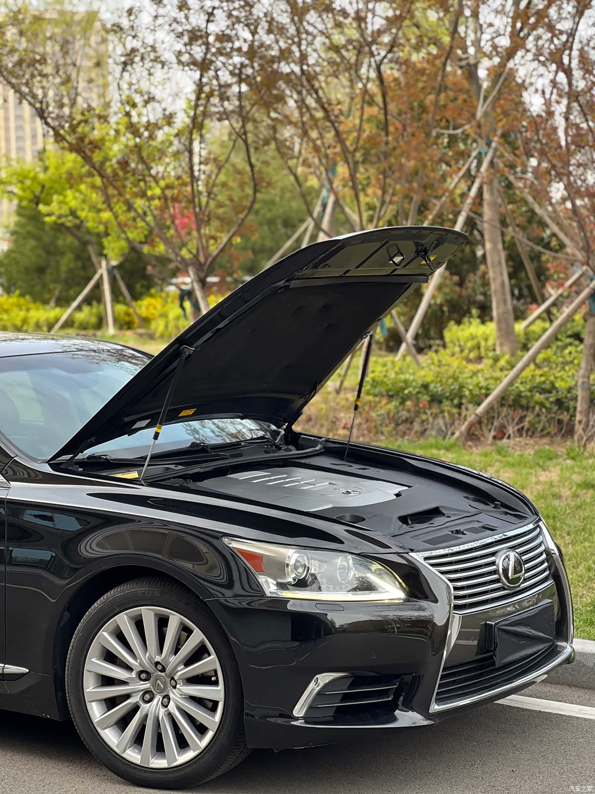 Lexus LS, 2013 16