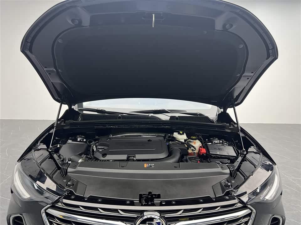 Buick Angkewei S