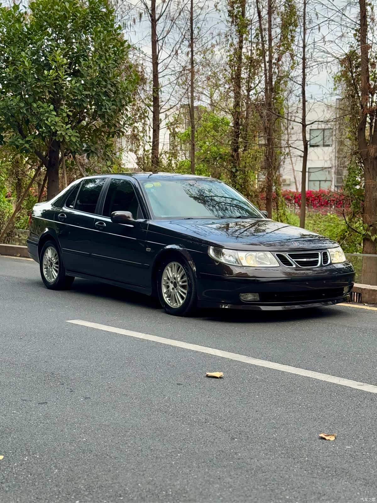 SaBo Saab, 2007 3