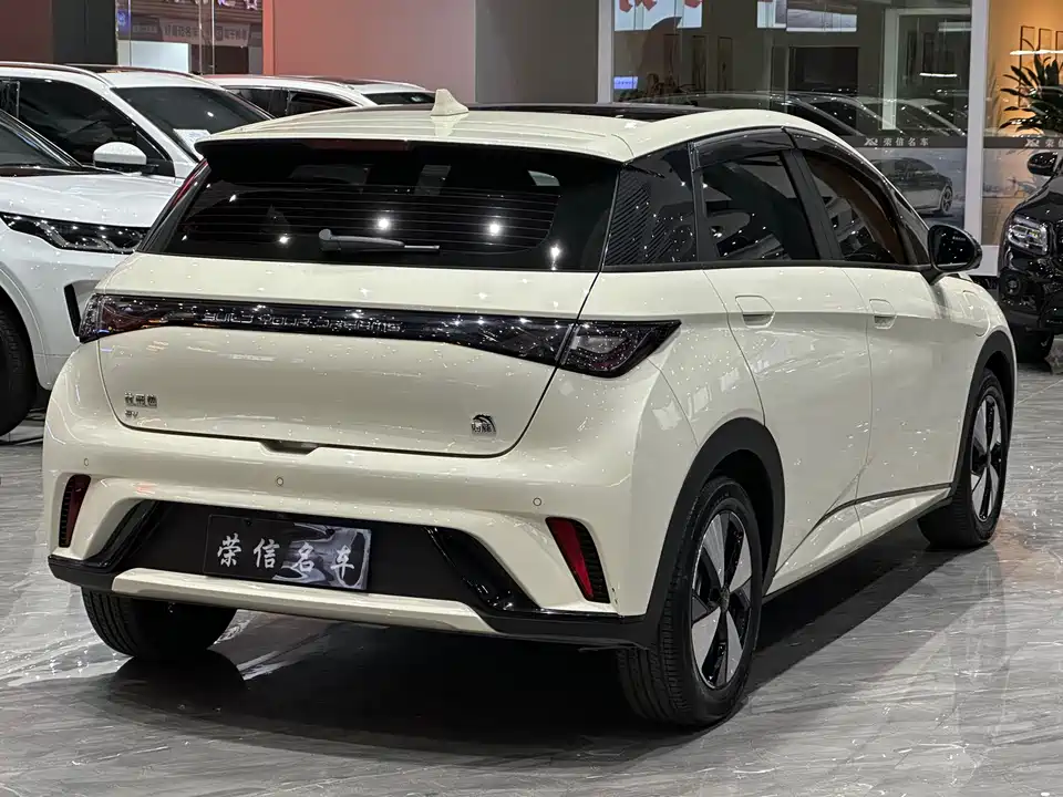 BYD dolphin